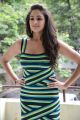Actress Asmita Sood Hot in Cross Striped Mini Dress Stills