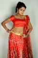 Asmita Sood Hot Stills, Actress Asmita Sood in Brammigadi Katha‎