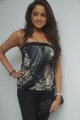 Asmita Sood Photo Shoot Stills