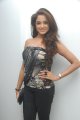 Asmita Sood Photo Shoot Stills