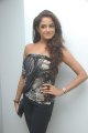 Asmita Sood Photo Shoot Stills