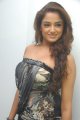 Asmita Sood Photo Shoot Stills