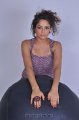 Asmita Sood Hot Photo Shoot Images