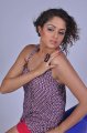 Asmita Sood Hot Photo Shoot Images