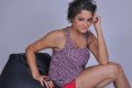 Asmita Sood Hot Photo Shoot Images