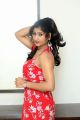 Telugu Actress Asmitha Khan Hot Stills @ Planning Press Meet