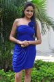 Hot Beauty Asmitha Sood poses in an Attractive Blue Dress