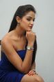 Asmita Sood Latest Hot Stills in Short Blue Dress