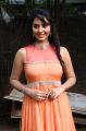 Actress Vidya @ Asurakulam Movie Audio Launch Photos