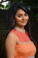 Actress Vidya @ Asurakulam Movie Audio Launch Photos