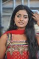 Tamil Actress Athmiya in Churidar Cute Pics