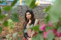 Tamil Actress Athulya Ravi Latest Pics in Black Churidar Dress