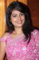 Tamil Actress Nandita in Pink Saree Photos