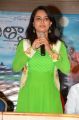 Actress Athidi Das @ Attarillu Movie Press Meet Photos