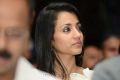 Actress Trisha at Audi Ritz Icon Awards 2012 Photos