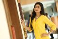 Vaishakam Heroine Avantika Mishra in Yellow Dress Photos