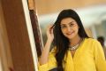 Vaishakam Heroine Avantika Yellow Dress Photos