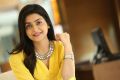 Vaishakam Heroine Avantika Mishra in Yellow Dress Photos