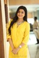 Vaishakam Heroine Avantika Mishra in Yellow Dress Photos