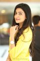 Vaishakam Heroine Avantika Mishra in Yellow Dress Photos