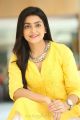 Vaisakham Heroine Avantika Yellow Dress Photos