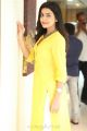 Vaisakham Heroine Avantika Mishra in Yellow Dress Photos