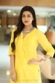 Vaisakham Heroine Avantika Mishra in Yellow Dress Photos