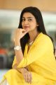 Vaishakam Heroine Avantika Yellow Dress Photos