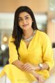 Vaishakam Heroine Avantika Yellow Dress Photos