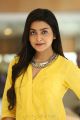 Vaisakham Heroine Avantika Mishra in Yellow Dress Photos