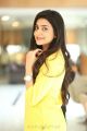 Vaishakam Heroine Avantika Mishra in Yellow Dress Photos