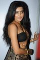 Avantika Mishra Hot Stills @ Maaya Audio Release