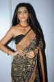 Avantika Mishra Hot Saree Stills @ Maaya Audio Release