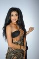 Avantika Mishra Hot Saree Stills @ Maaya Audio Release