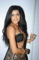 Avantika Mishra Hot Saree Stills @ Maaya Audio Launch