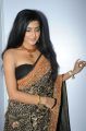 Avantika Mishra Hot Saree Stills @ Maaya Audio Release