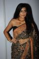 Avantika Mishra Hot Saree Stills @ Maaya Audio Launch