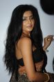 Avantika Mishra Hot Saree Stills @ Maaya Audio Release