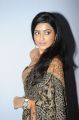 Avantika Mishra Hot Saree Stills @ Maaya Audio Launch