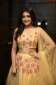 Actress Avantika Mishra New Pics @ Meeku Mathrame Chepta Pre Release