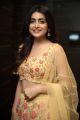 Actress Avantika Mishra New Pics @ Meeku Maathrame Chepta Pre Release
