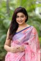 Actress Avantika Mishra Saree Images @ Meeku Mathrame Cheptha Thanks Meet