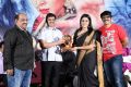 Avantika Movie Platinum Disc Function Stills