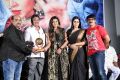 Avantika Movie Platinum Disc Function Stills