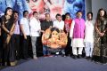 Avantika Movie Platinum Disc Function Stills