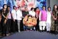 Avantika Movie Platinum Disc Function Stills