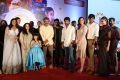 Awe Movie Pre Release Function Stills