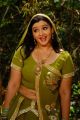 Aarthi Agarwal in Azhagiya Vanamum Arputha Siruvanum Movie Stills