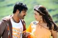 NTR, Kajal in Baadshah Latest Photos