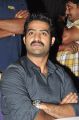 Jr.NTR at Baadshah Movie Success Meet Stills